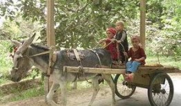 爆料二驴卖车视频播放,揭秘网红带货新趋势