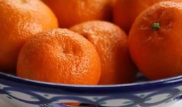 橘子家爆料视频,精彩瞬间一网打尽