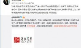 穿书自救指南最新爆料,揭秘最新爆料，解锁穿越时空的神秘之旅