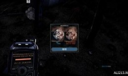 游侠完整版在线观看,在线畅游，尽享完整版视听盛宴